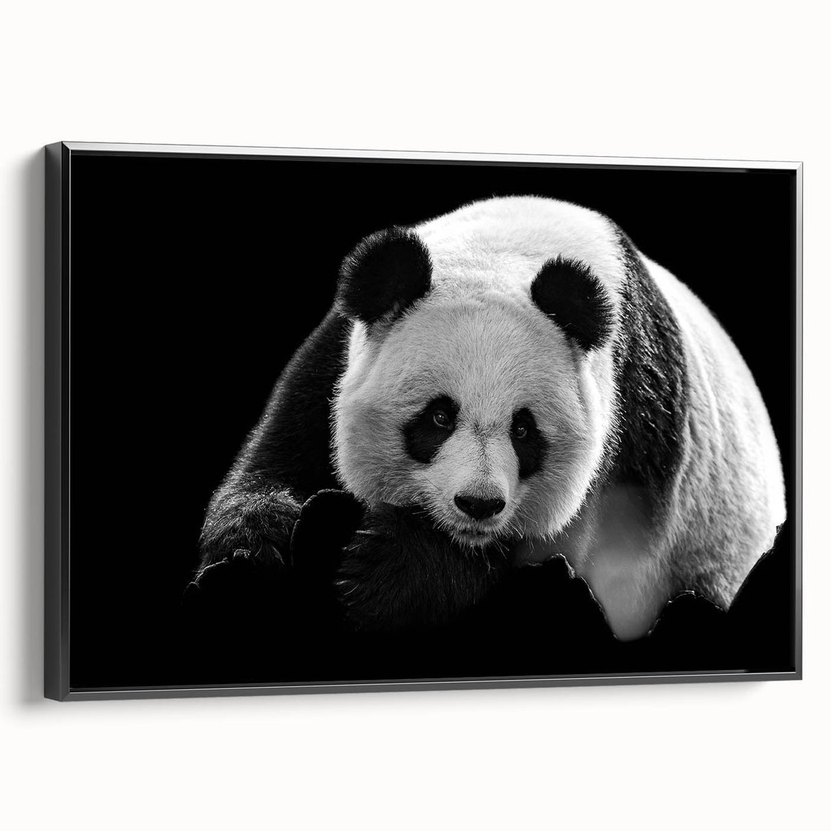 Framed wall art collection featuring a panda bear design on a black background, showcasing vibrant colors and intricate details, perfect for children's rooms or playful decor.