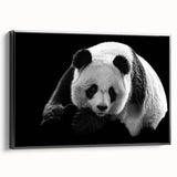 Framed wall art collection featuring a panda bear design on a black background, showcasing vibrant colors and intricate details, perfect for children's rooms or playful decor.