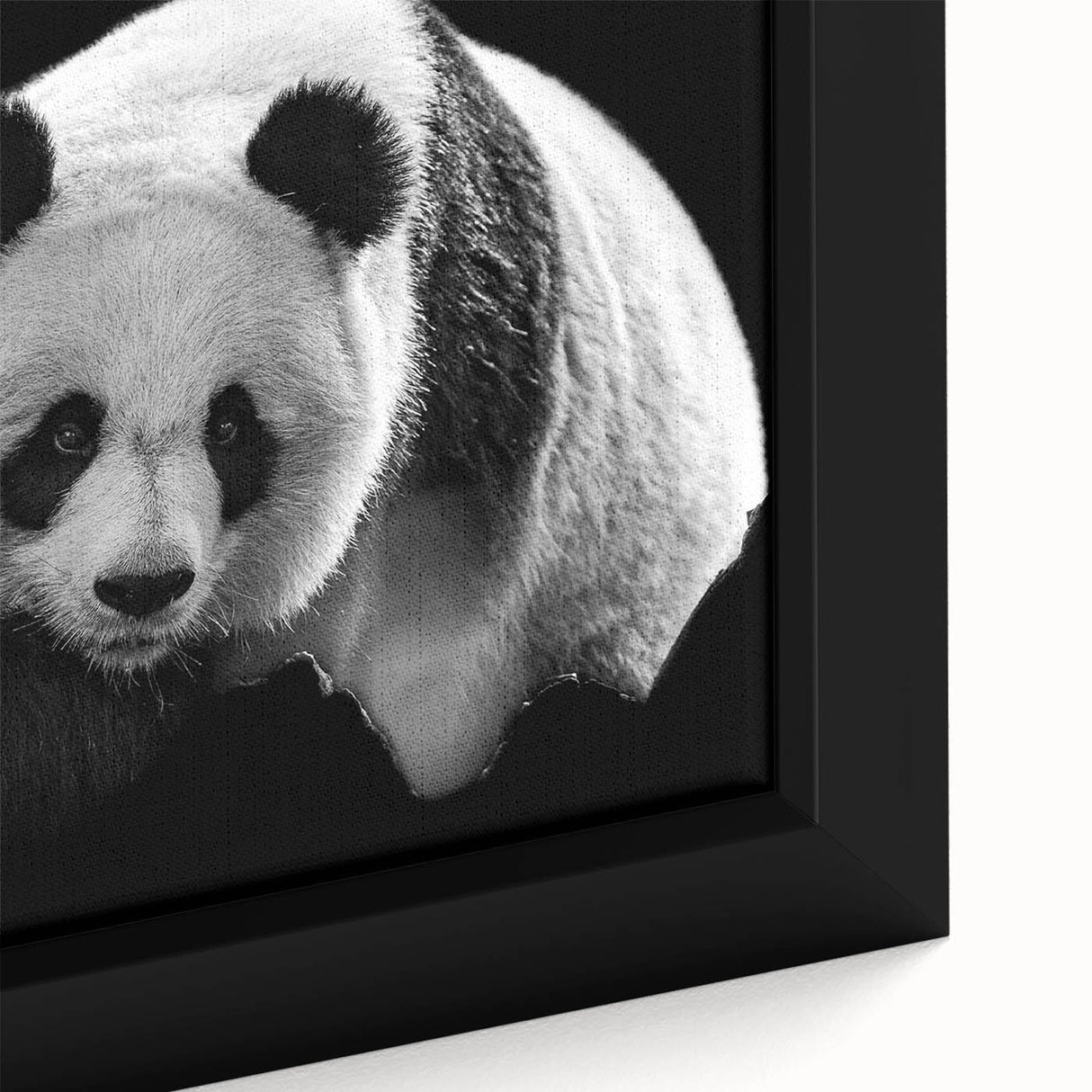 Close-up of a framed panda bear wall art piece, showcasing intricate design details and vibrant colors, perfect for adding a playful touch to home decor.