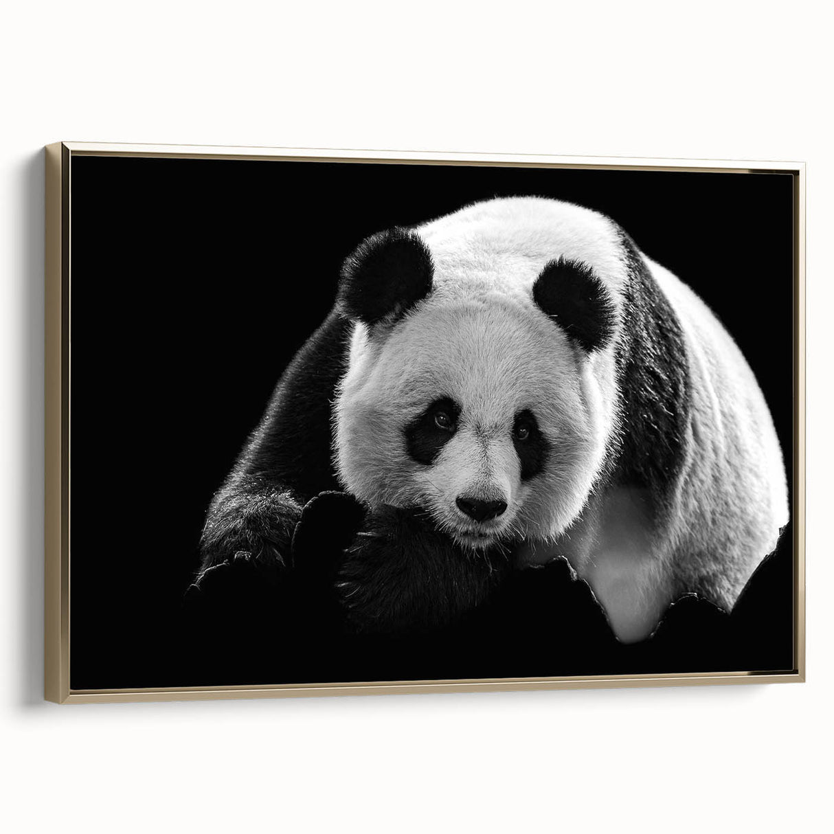 Framed wall art collection featuring a panda bear design with a gold border, showcasing playful colors and a side view that highlights its artistic details. Perfect for adding a whimsical touch to children's rooms or playful decor themes.