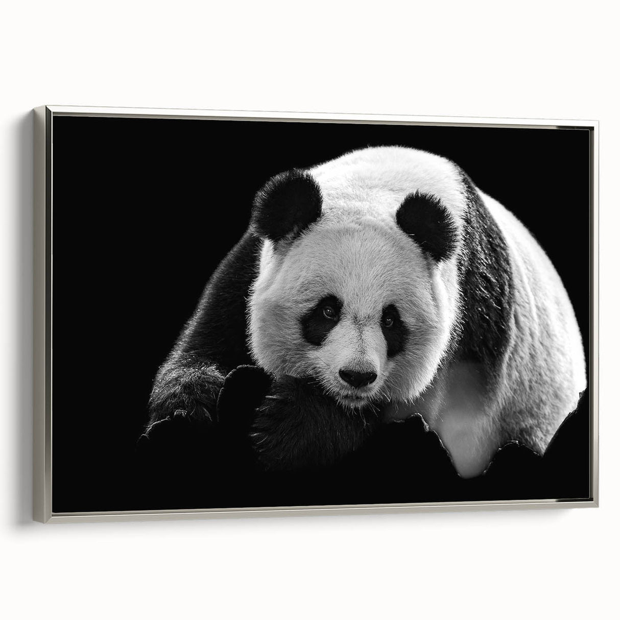 Framed canvas wall art featuring a playful panda bear design, set against a sleek silver frame, perfect for children's rooms or animal-themed decor.