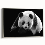Framed canvas wall art featuring a playful panda bear design, set against a sleek silver frame, perfect for children's rooms or animal-themed decor.