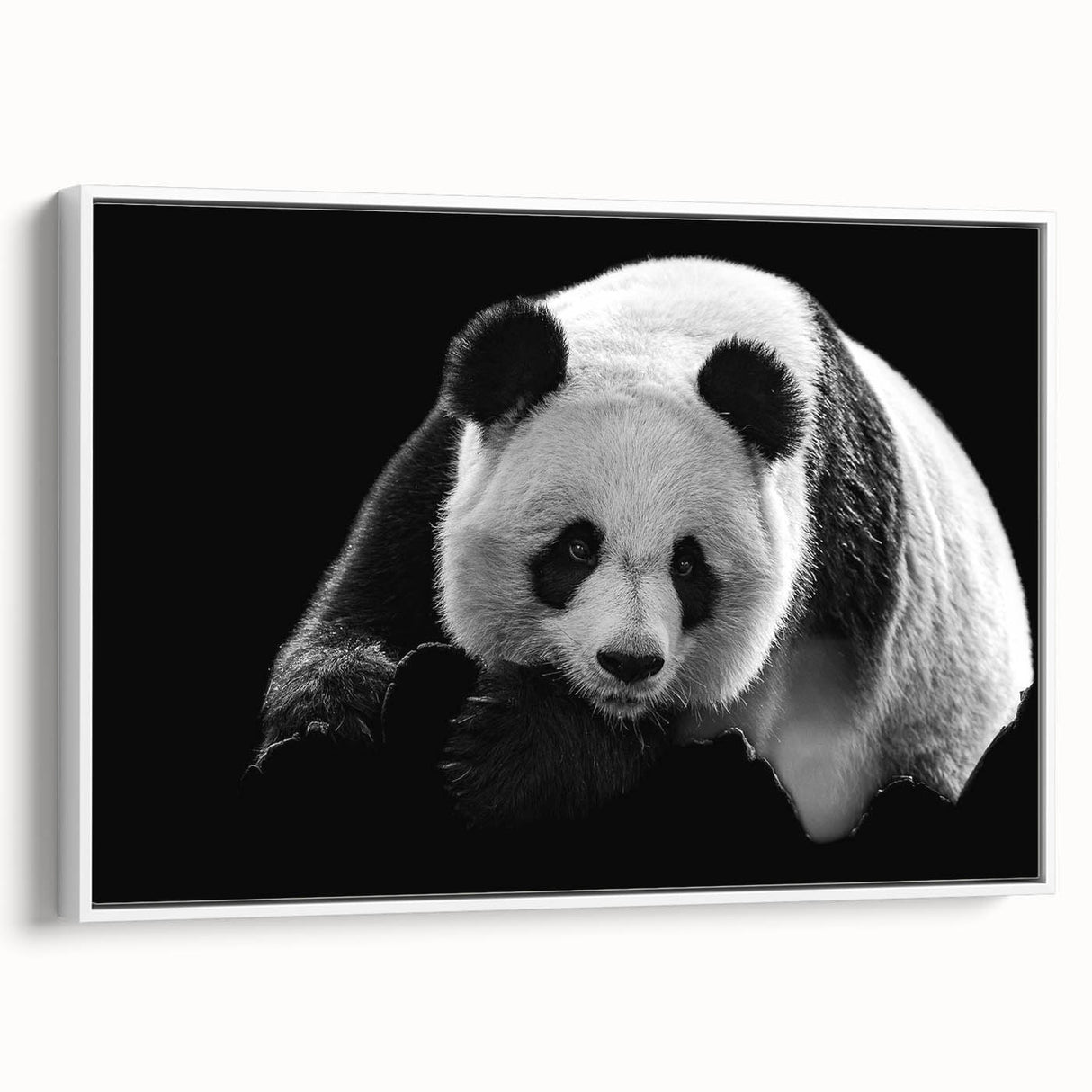 Framed wall art featuring a panda bear design on a white canvas, showcasing vibrant colors and whimsical details, perfect for children's room decor or animal lovers.