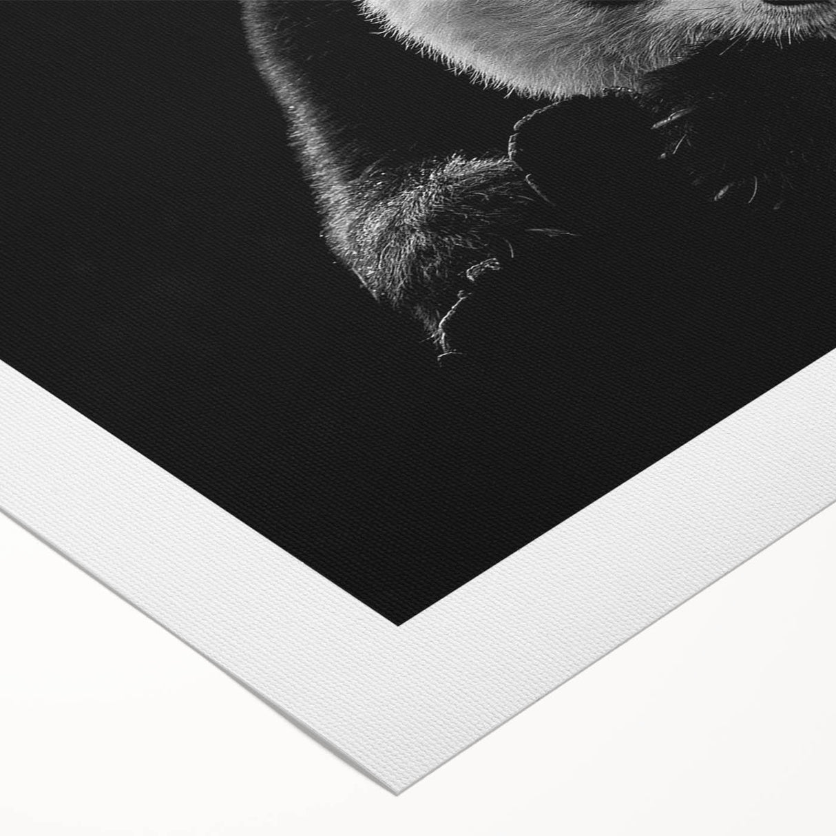 Colorful rolled canvas artwork featuring a playful panda bear design, ideal for children's room decor, showcasing vibrant colors and whimsical details for a cheerful atmosphere.