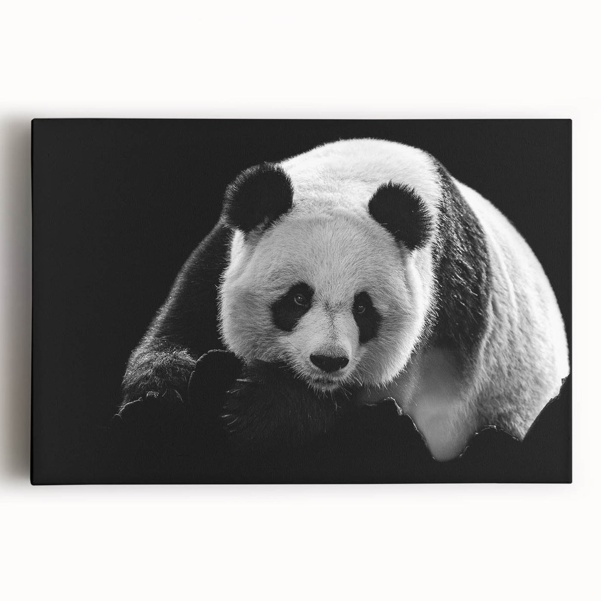 Vibrant panda bear wall art design on stretched canvas, featuring a playful panda against a colorful background, perfect for children's room decor.