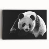 Vibrant panda bear wall art design on stretched canvas, featuring a playful panda against a colorful background, perfect for children's room decor.