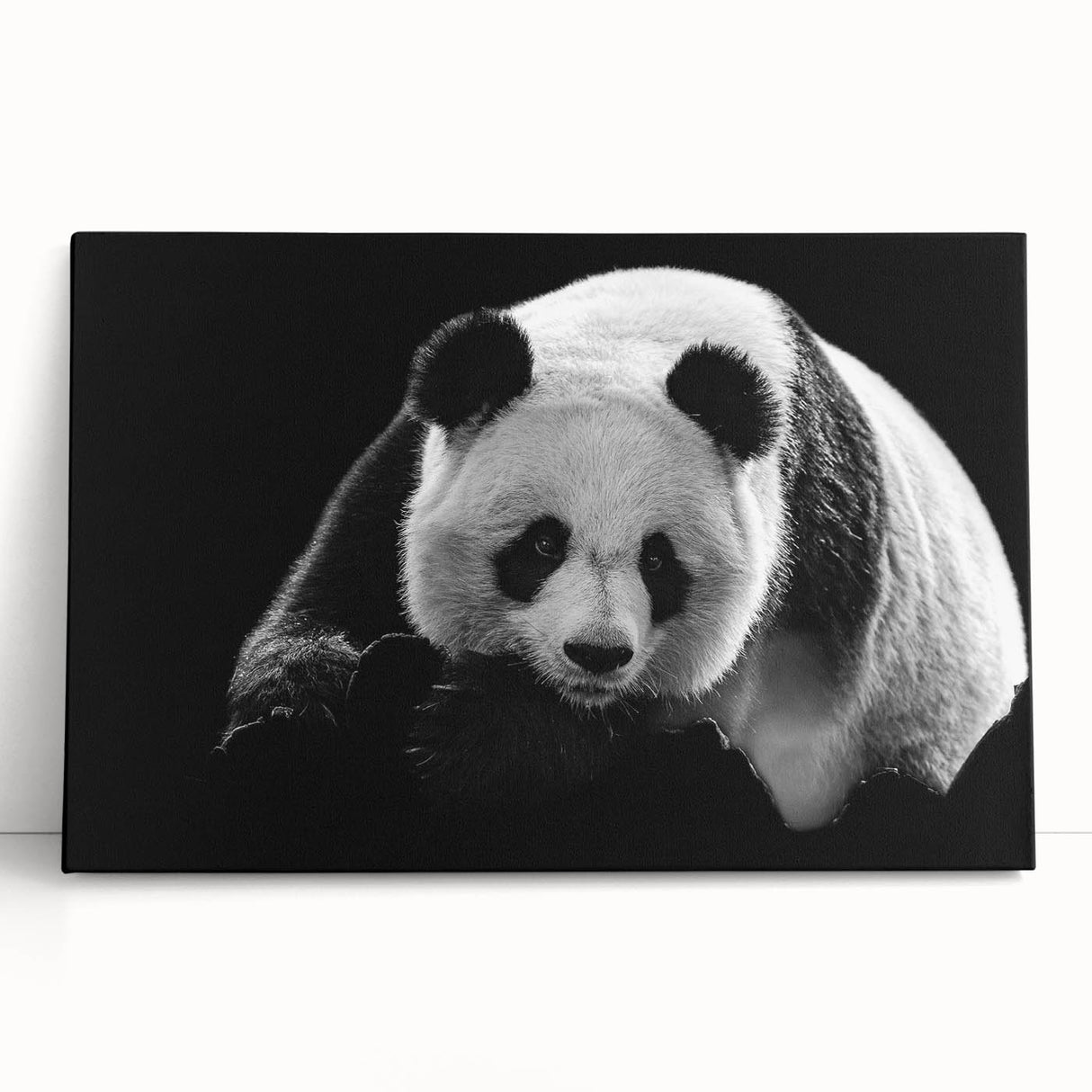 Whimsical panda bear wall art collection on stretched canvas, showcasing vibrant colors and playful design, perfect for children's room decor or nursery.
