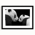 Framed black wall art featuring a whimsical panda bear design, presented with a white mat for a modern touch, ideal for children's rooms or playful decor.