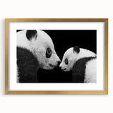 Framed wall art collection featuring a bear and panda design, presented in a stylish gold frame with a white mat, perfect for children's room decor.