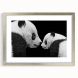 Framed wall art collection showcasing a panda bear design in a silver frame, featuring a mat for added elegance. Ideal for nursery or children's room decor.