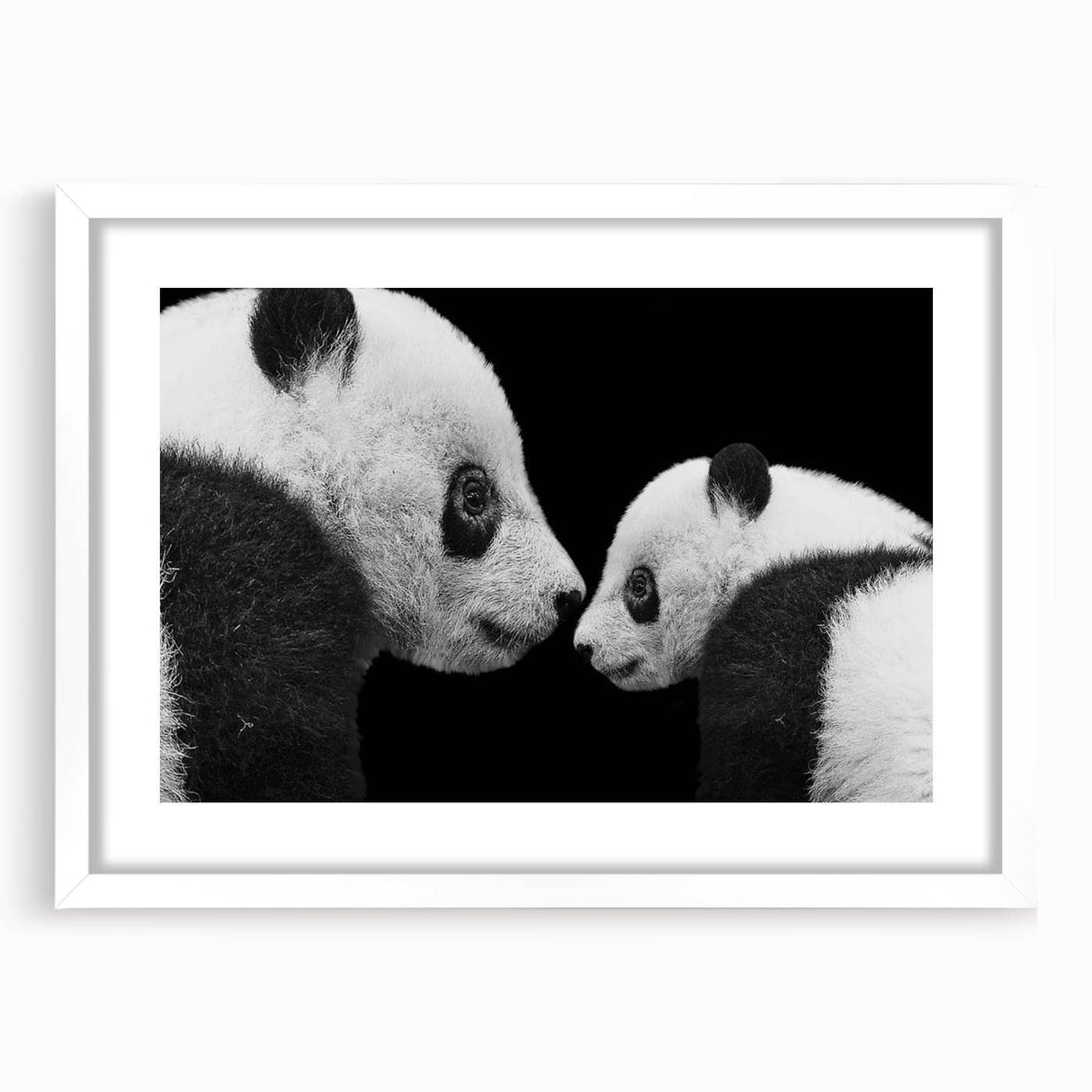 Stylish white-framed wall art showcasing a bear and panda design, perfect for children's rooms or playful decor, highlighting vibrant colors and playful imagery.