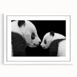 Stylish white-framed wall art showcasing a bear and panda design, perfect for children's rooms or playful decor, highlighting vibrant colors and playful imagery.