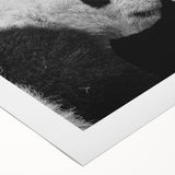 Rolled canvas wall art featuring a whimsical panda design, showcasing vibrant colors and playful details, ideal for children's rooms or playful decor themes.