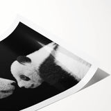 Panda bear wall art print showcasing a vibrant, colorful design, perfect for playful decor in children's rooms or nurseries, rolled and ready for framing.