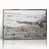 Framed wall art featuring a striking polar bear design in a gold-accented frame, perfect for adding a touch of nature-inspired elegance to home decor.