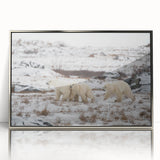 Framed wall art showcasing a striking polar bear design with a sleek silver acrylic finish, perfect for enhancing modern home decor and wildlife themes.