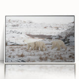 Framed acrylic wall art showcasing a striking polar bear design, set against a white background, ideal for modern home decor and wildlife enthusiasts.