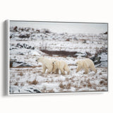 Framed wall art featuring a polar bear design on a white canvas, showcasing intricate details and vibrant colors, ideal for wildlife enthusiasts and modern decor.