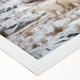 Polar bear wall art design printed on rolled canvas, showcasing a striking depiction of a polar bear in its natural habitat, ideal for wildlife enthusiasts and home decor.