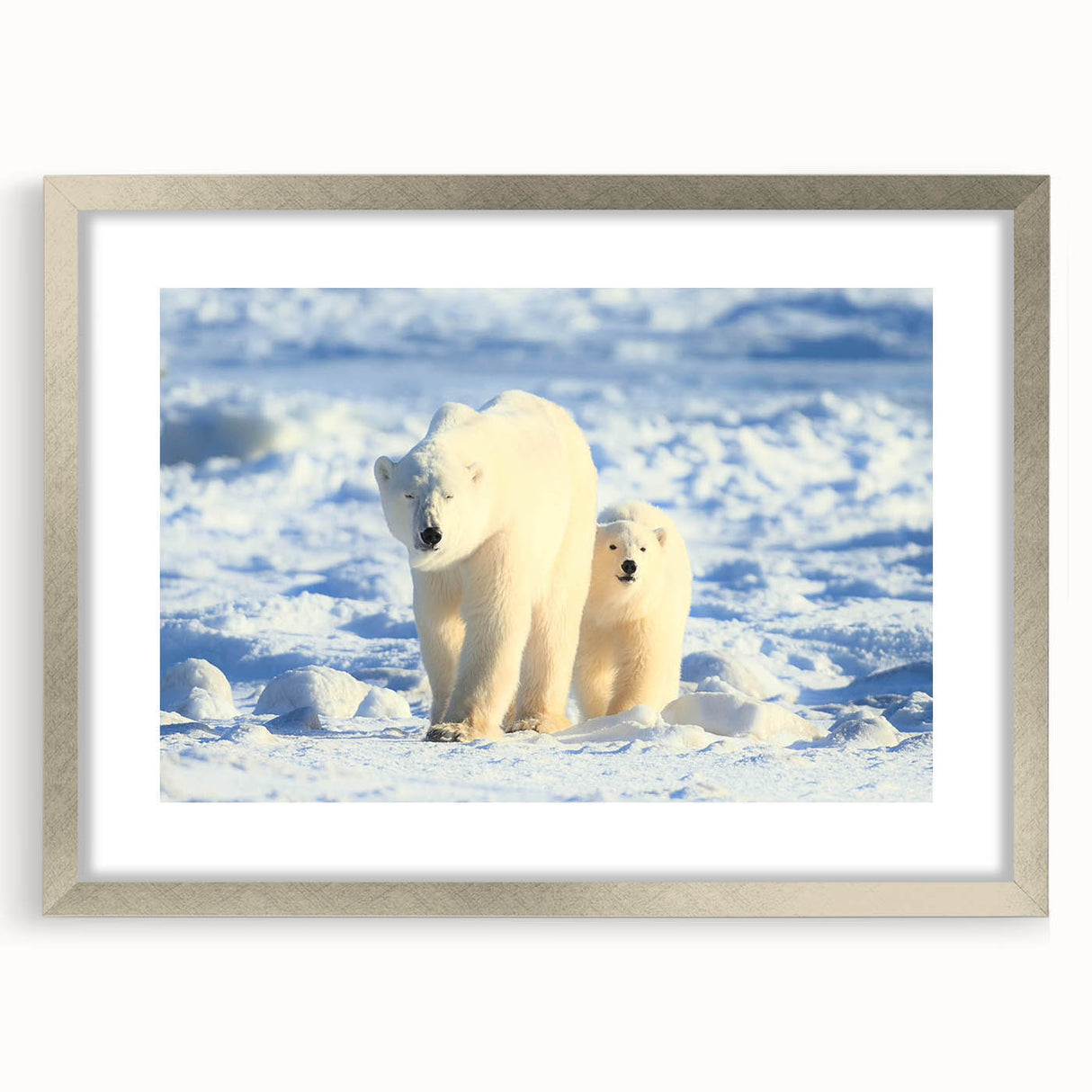 Framed polar bear wall art design showcasing a silver frame with a mat, perfect for adding a modern touch to home decor. Ideal for wildlife enthusiasts and minimalist interiors.