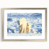 Framed polar bear wall art design showcasing a silver frame with a mat, perfect for adding a modern touch to home decor. Ideal for wildlife enthusiasts and minimalist interiors.