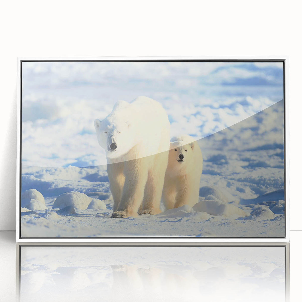 Framed wall art featuring a polar bear design on a white background, showcasing intricate details and vibrant colors, perfect for animal-themed home decor.