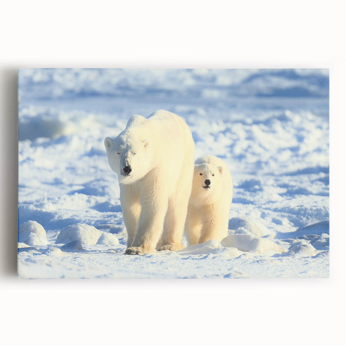 Stretched canvas wall art showcasing a striking polar bear design in a minimalist style, featuring soft white and blue tones, perfect for modern home decor.