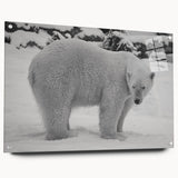 Acrylic glass wall art featuring a polar bear design, showcasing vibrant colors and intricate details, framed with pins for stylish display in modern decor.