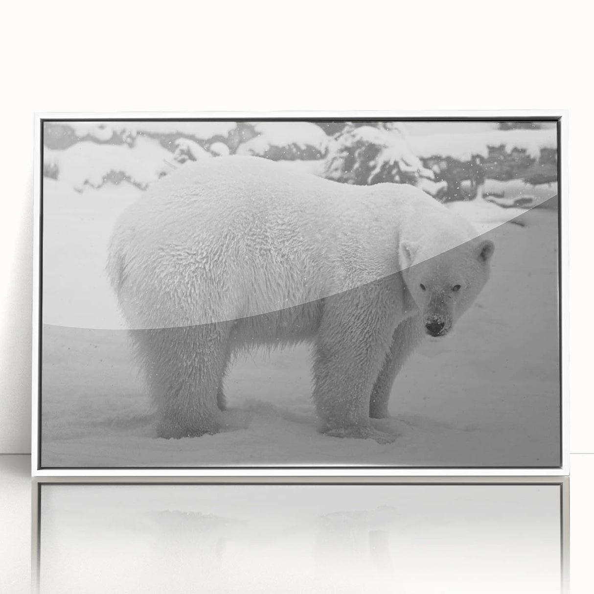 Framed wall art featuring a striking polar bear design in acrylic, showcasing a white background and vivid details, perfect for modern home decor.