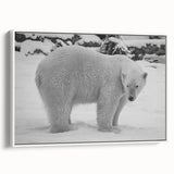Framed canvas wall art featuring a polar bear design in a minimalist white frame, showcasing the bear in a side view against a neutral background, perfect for nature enthusiasts.