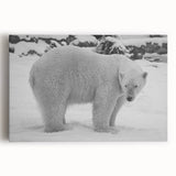 Stretched canvas wall art featuring a striking polar bear design in a serene winter landscape, showcasing detailed textures and soft blue tones, perfect for home decor.