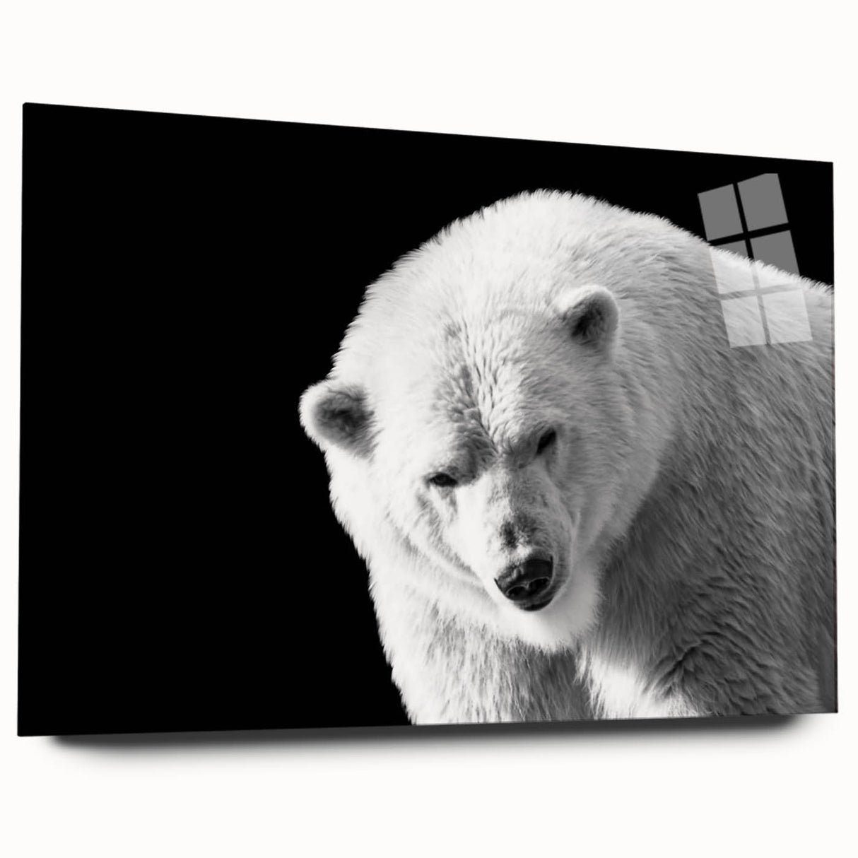 Acrylic wall art featuring a stunning polar bear design, showcasing vibrant colors and intricate details, side view without pins, ideal for home decor.