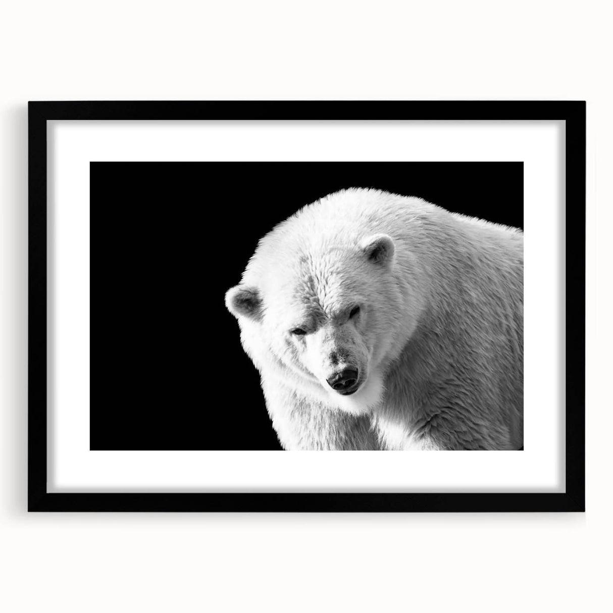 Polar bear wall art framed in black with a white mat, showcasing a minimalist design. Perfect for wildlife enthusiasts or modern decor lovers.