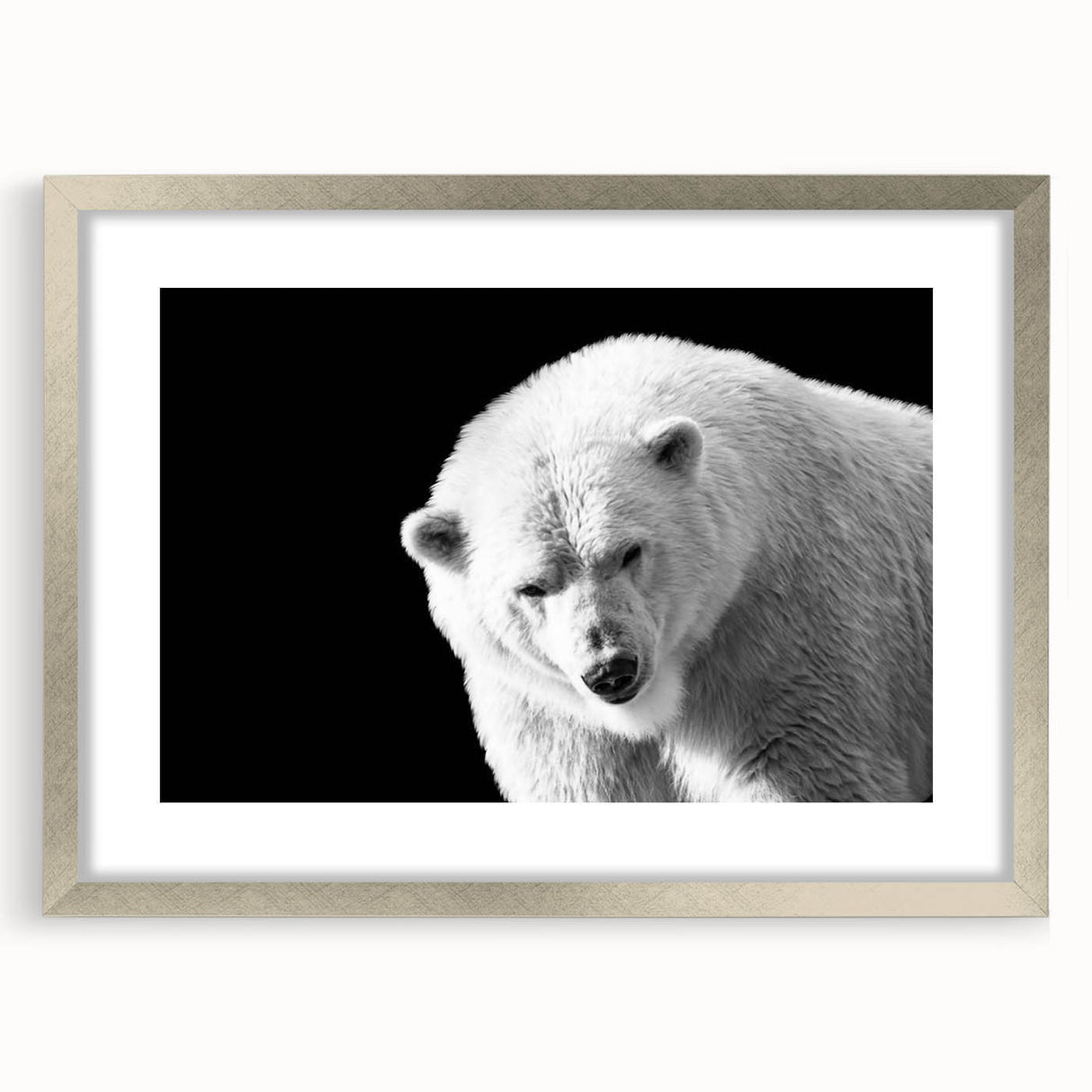 Polar bear wall art design featuring a striking silver frame and mat, showcasing a detailed illustration of a polar bear in a serene landscape, ideal for modern decor.