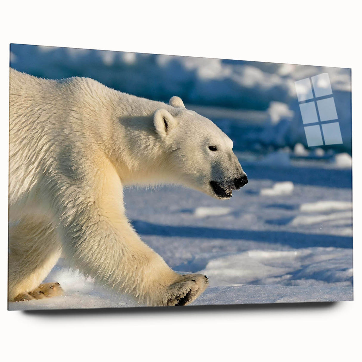 Acrylic glass wall art featuring a side view of a polar bear design, showcasing intricate details and vibrant colors, perfect for modern home decor.