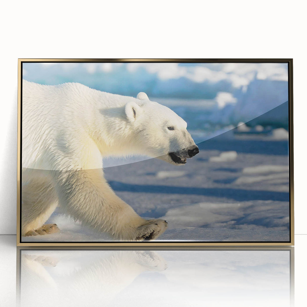Framed acrylic wall art featuring a polar bear design with a sleek gold frame, showcasing a contemporary aesthetic perfect for modern home decor.