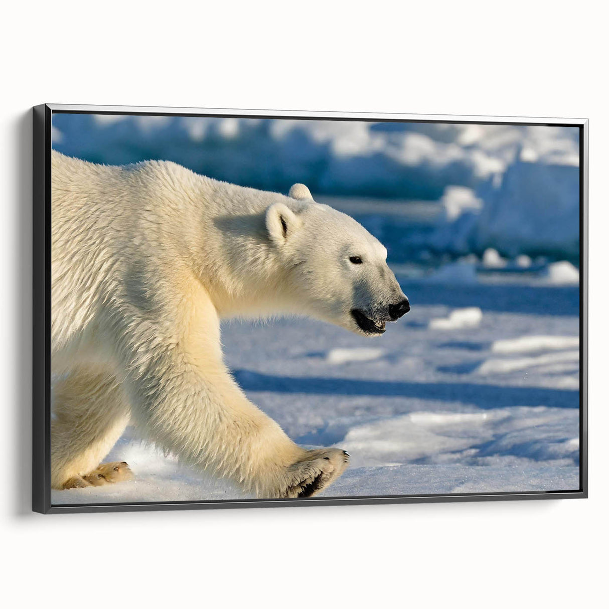 Framed canvas wall art featuring a striking polar bear design, showcasing detailed fur textures and a black frame, perfect for wildlife enthusiasts' decor.