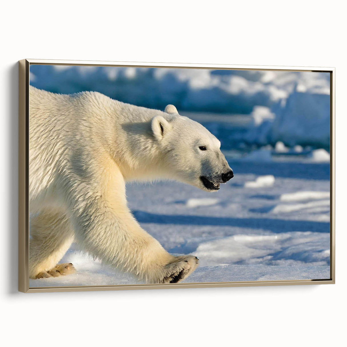Framed polar bear wall art design showcasing a majestic polar bear against a minimalist background, featuring a sleek gold frame that enhances its modern aesthetic. Perfect for adding a touch of nature-inspired elegance to any decor.