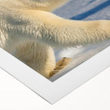 Rolled canvas art showcasing a detailed polar bear design, featuring vibrant colors and intricate textures, ideal for home decor enthusiasts and wildlife lovers.