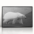 Framed wall art showcasing a detailed polar bear design in an acrylic format, featuring a sleek black frame, ideal for modern home decor and wildlife enthusiasts.