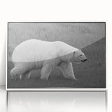 Framed acrylic wall art showcasing a polar bear design, featuring a white background and sleek edges, ideal for modern home decor. Perfect for wildlife enthusiasts.