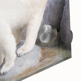 Close-up of a vibrant polar bear wall art design on acrylic glass, showcasing intricate details and colors, perfect for modern home decor and wildlife enthusiasts.
