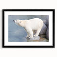 Black-framed wall art featuring a striking polar bear design, showcasing intricate details and a contemporary aesthetic, perfect for modern home decor.