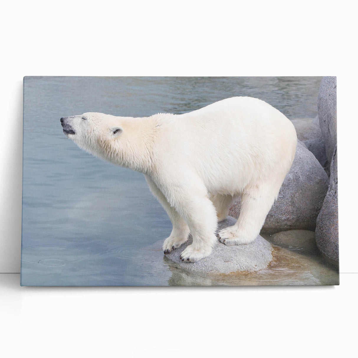Stretched canvas wall art displaying a serene polar bear design, featuring soft blues and whites, ideal for adding a tranquil touch to modern home decor.