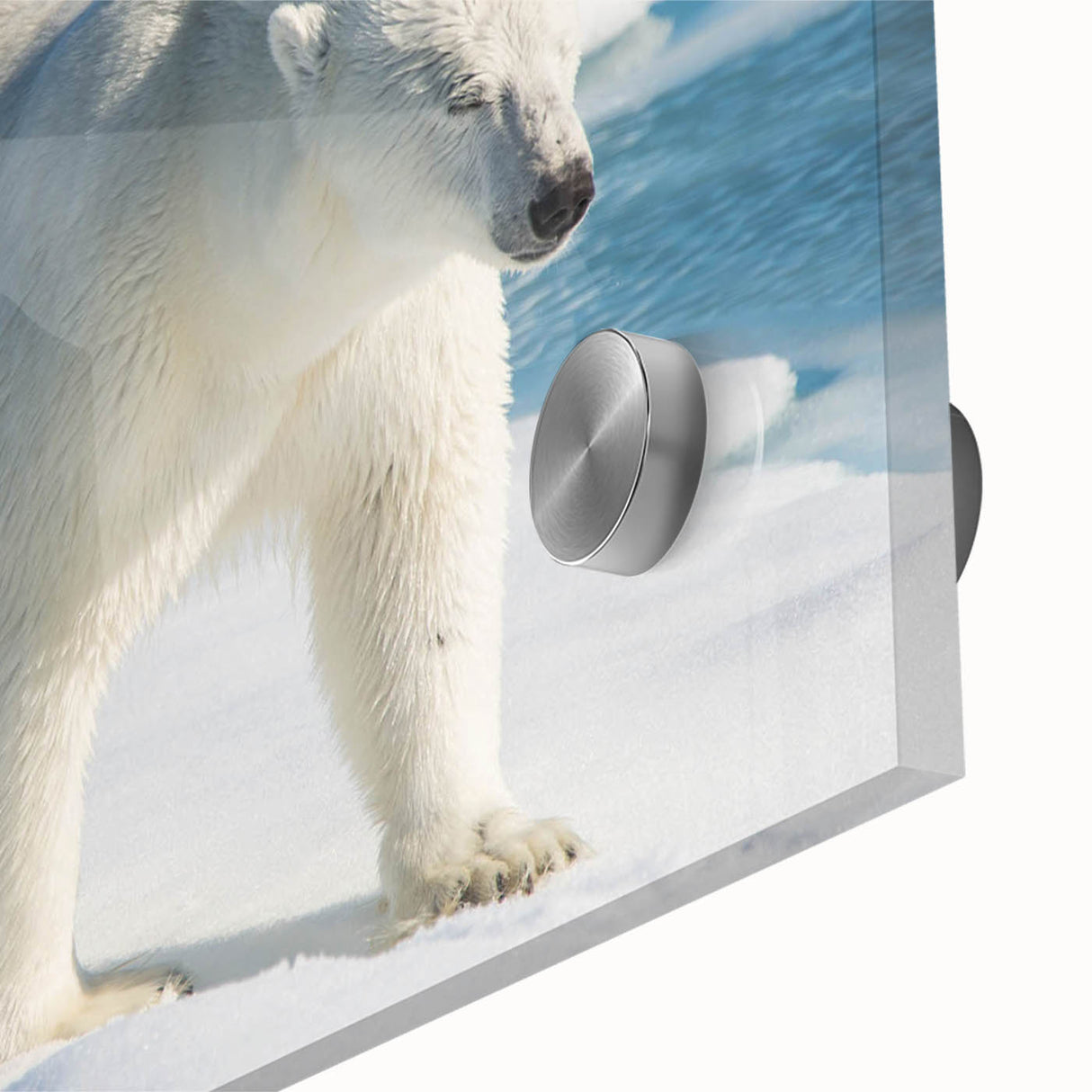 Close-up of a vibrant polar bear wall art design featuring intricate details and a glossy finish, perfect for adding a touch of wildlife decor to modern interiors.