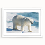 Polar bear wall art design featuring a white frame with a mat, showcasing an artistic depiction of a polar bear against a minimalist background, ideal for home decor.
