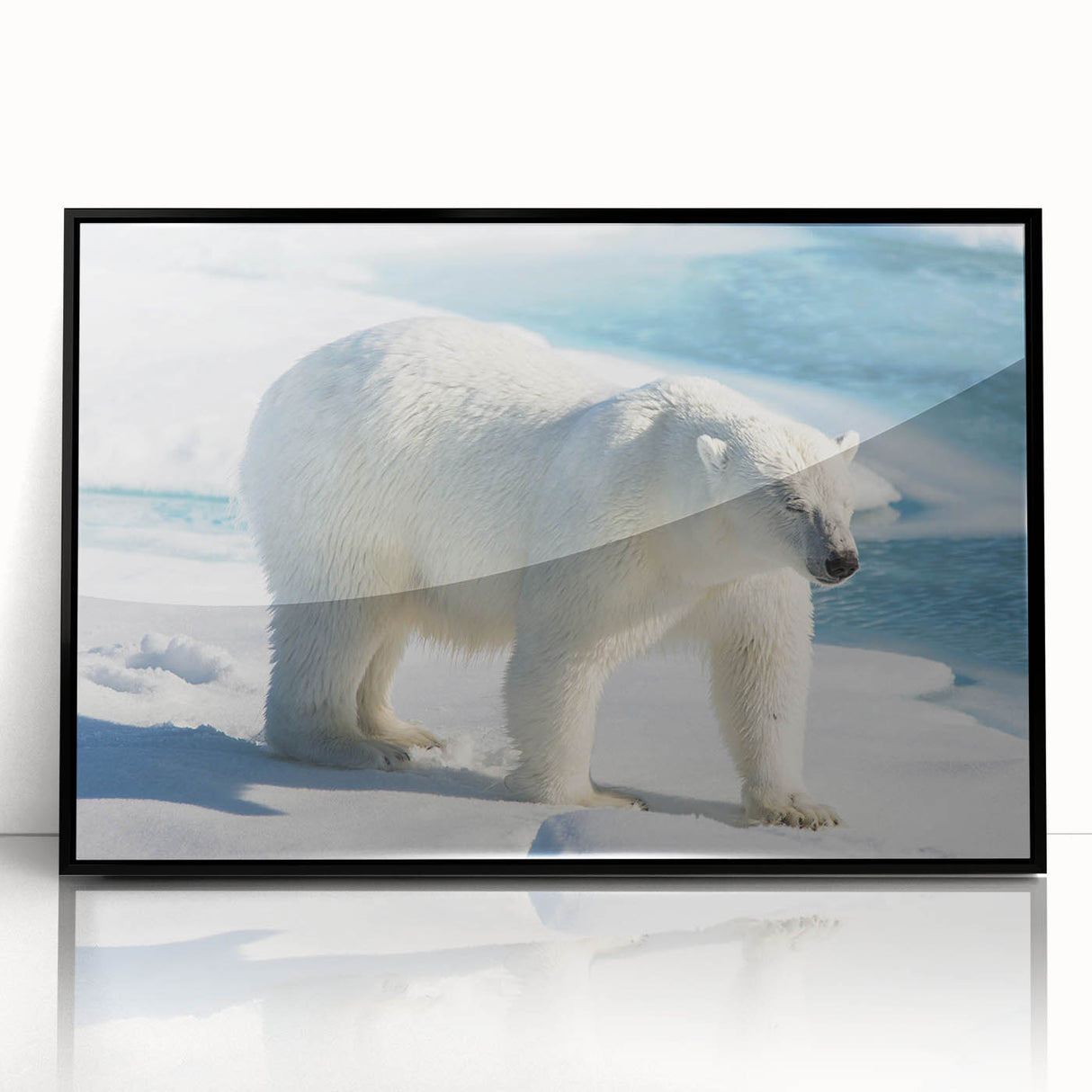 Framed polar bear wall art design showcasing a striking black frame, perfect for modern decor, highlighting the beauty of Arctic wildlife in vibrant colors.