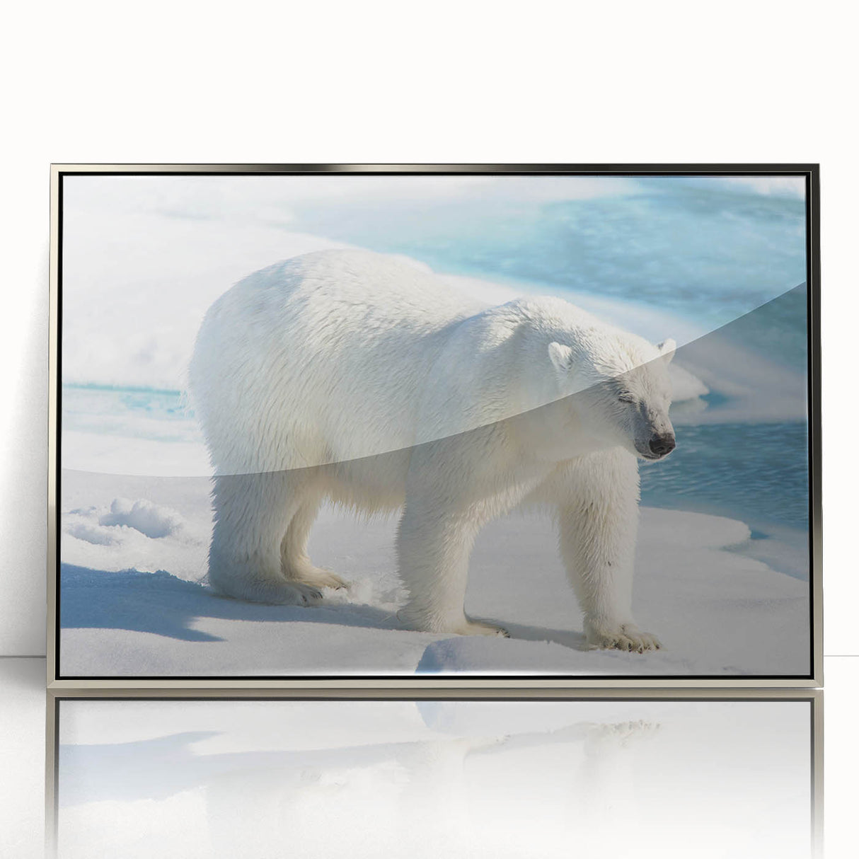 Framed acrylic wall art showcasing a polar bear design in vibrant colors, set against a sleek silver frame, perfect for modern home decor. Ideal for wildlife enthusiasts and contemporary art lovers.