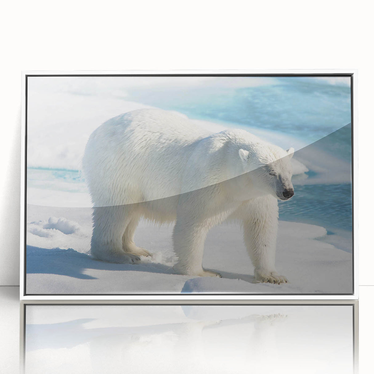 Framed wall art featuring a polar bear design on a white background, showcasing intricate details and vibrant colors, perfect for modern home decor.