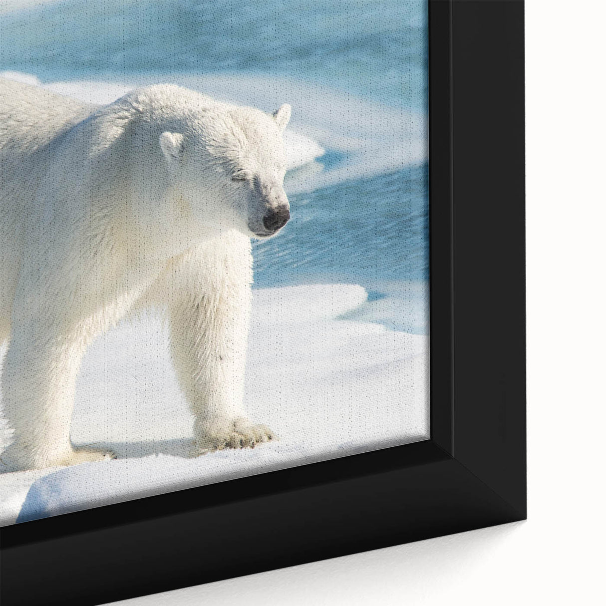 Close-up of a framed polar bear wall art piece, showcasing intricate design details and vibrant colors, perfect for adding a nature-inspired touch to home decor.